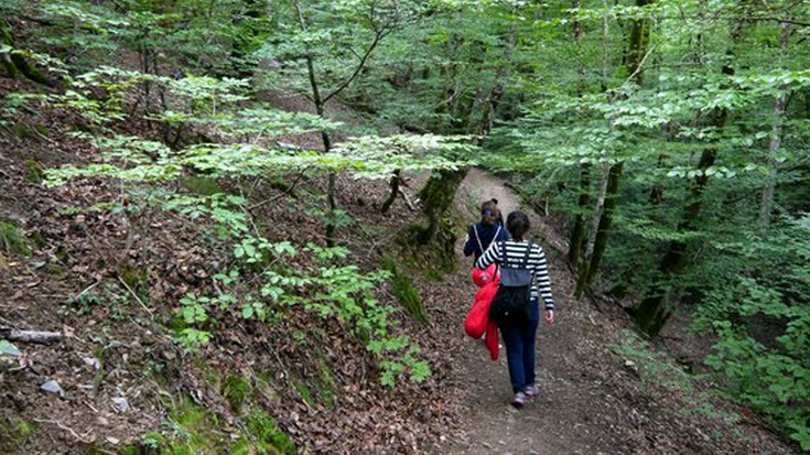 Bertizko Natur Parkeak oihana zentzumenen bidez ezagutzera animatu du aste honetan