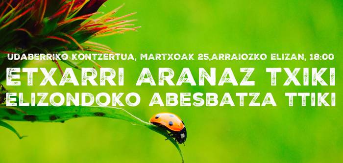 Udaberriko kontzertua eskainiko dute Etxarri Aranaz eta Elizondoko Abesbatza ttikiek Arraiozen