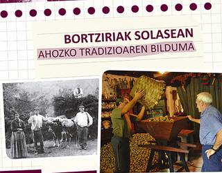 Bortziriak solasean liburua
