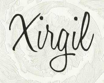 XIRGIL Ileapaindegia logotipoa