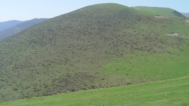 Erdizen harrobia egiteko txostena aurkeztu dio Magnak Nafarroako Gobernuari
