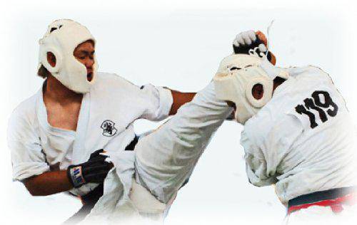 Kenpo Kai ikastaroa Zugarramurdin