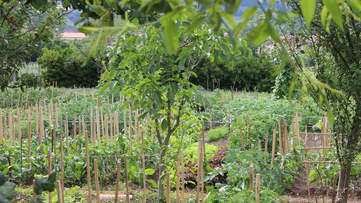 Nekazaritza biodinamikoa: maiatzaren 7ra bitartekoa Kistinerekin solasgai